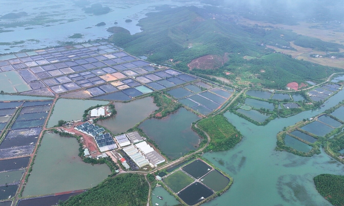 Quảng Ninh có nhà máy điện mặt trời đầu tiên