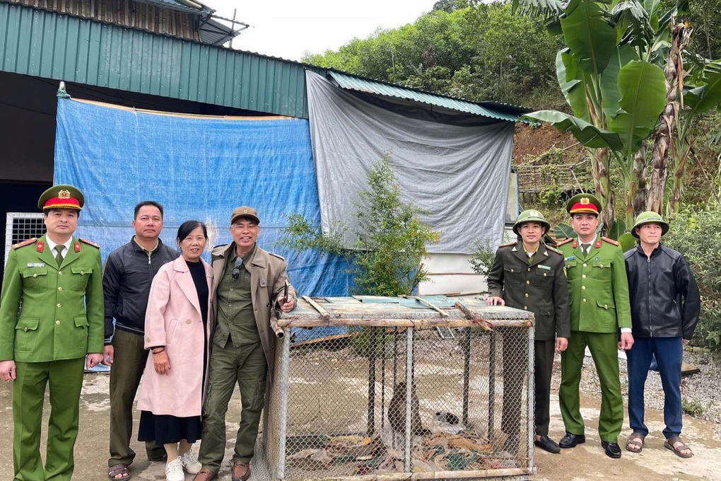 Người dân giao nộp 2 cá thể khỉ quý hiếm - 1 Người dân giao nộp 2 cá thể khỉ quý hiếm - 1