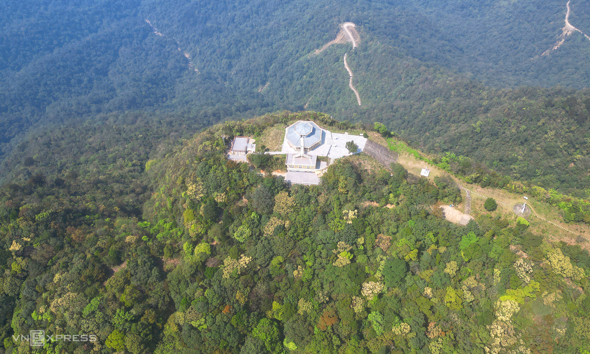 Quốc tế quan tâm đến thu mua tín chỉ carbon rừng Việt Nam