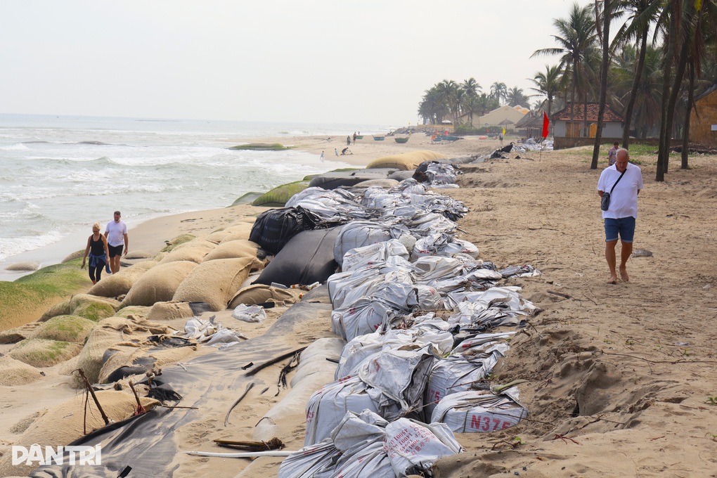 Bờ biển Hội An sạt lở nghiêm trọng, để lại cảnh quan nham nhở - 3