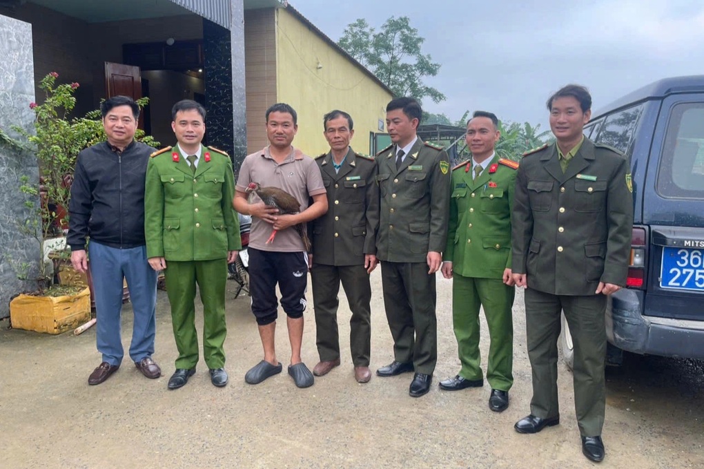 Người đàn ông bắt được gà lôi trắng khi đi rừng - 1 Người đàn ông bắt được gà lôi trắng khi đi rừng - 1