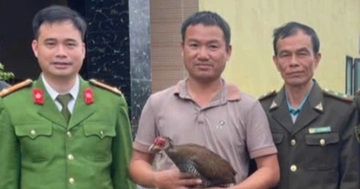 Người đàn ông bắt được gà lôi trắng khi đi rừng