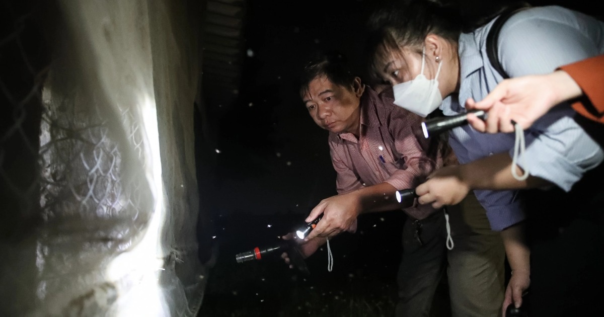 TPHCM tiếp tục chi 130.000 đồng cho người đi bắt muỗi mỗi đêm