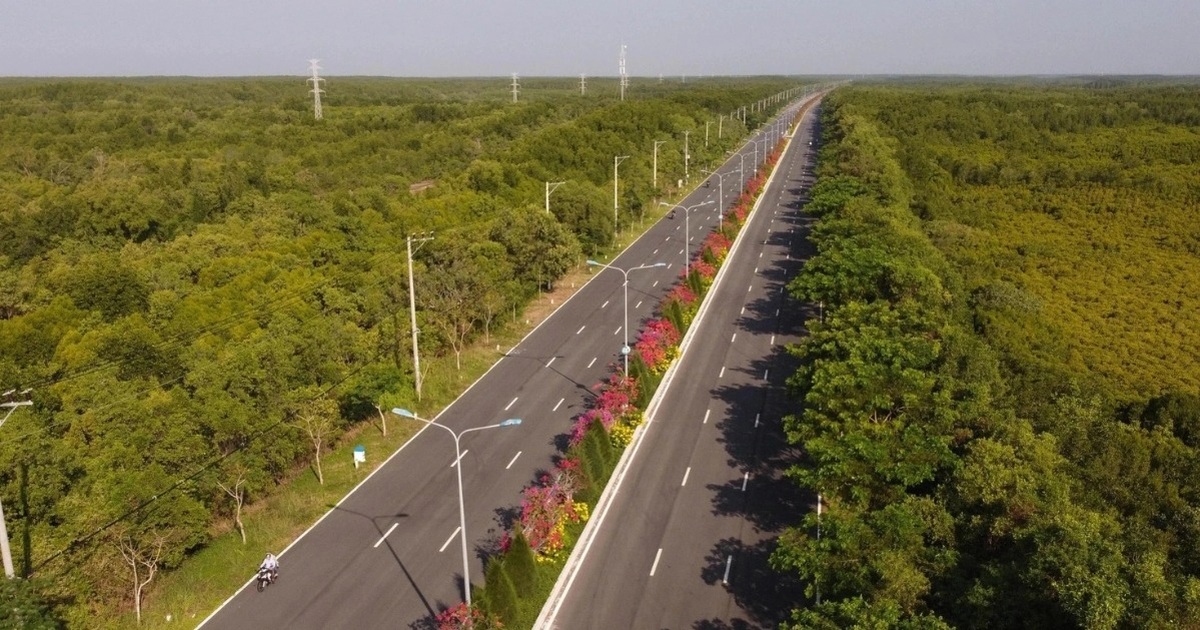 TPHCM thống nhất chủ trương đầu tư đường sắt Bến Thành – Cần Giờ