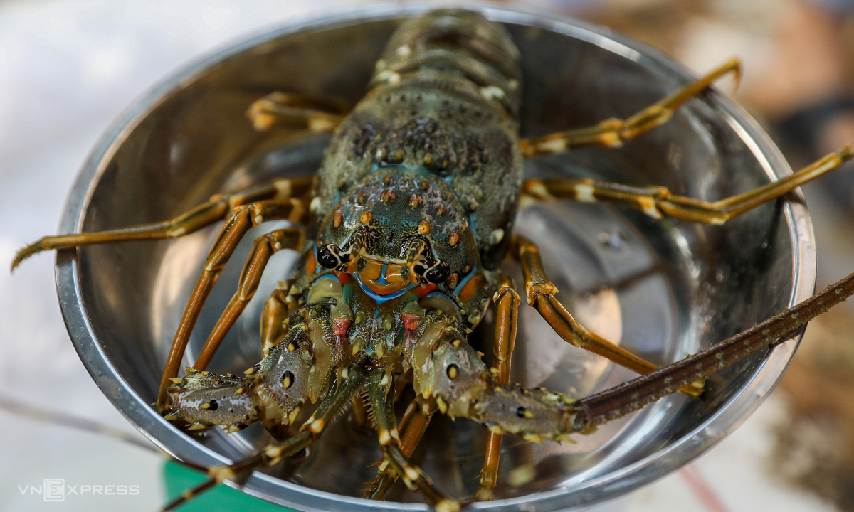 Việt Nam thu gần 1,6 tỷ USD từ xuất khẩu thủy sản sang Nhật