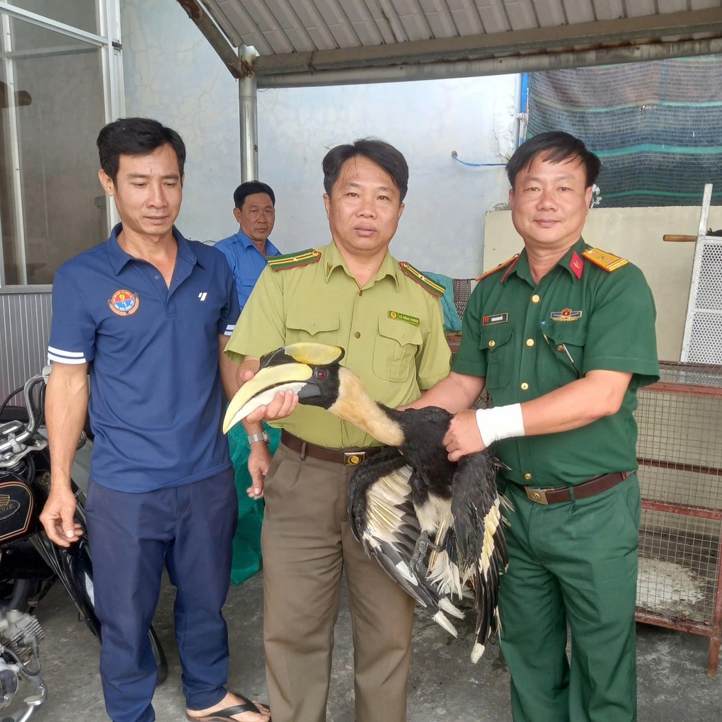 Đi làm ruộng, người dân phát hiện loài chim quý có hình dáng lạ - 1