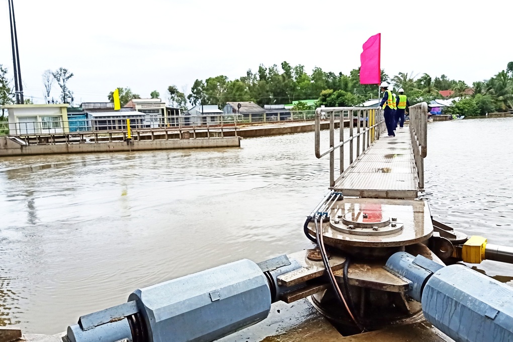 Cà Mau dự chi hơn 277 tỷ đồng làm 7 cống ngăn mặn, chống triều cường - 1