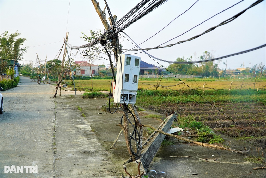 Vì sao cột điện gãy đổ vẫn ngổn ngang nhiều tháng sau bão? - 1