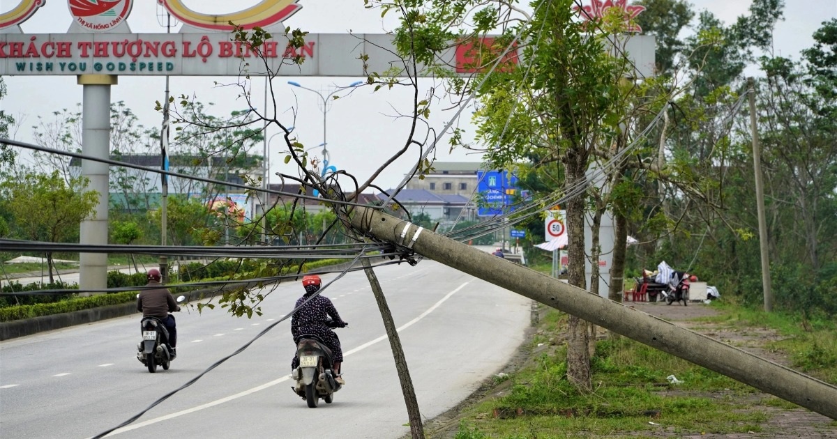 Những cột điện bằng cành cây, khúc gỗ, nằm ngổn ngang nhiều tháng sau bão