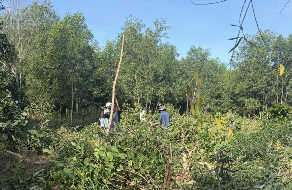 Cưỡng chế, thu hồi hơn 3ha đất rừng ở Mũi Né bị người dân lấn chiếm - 1