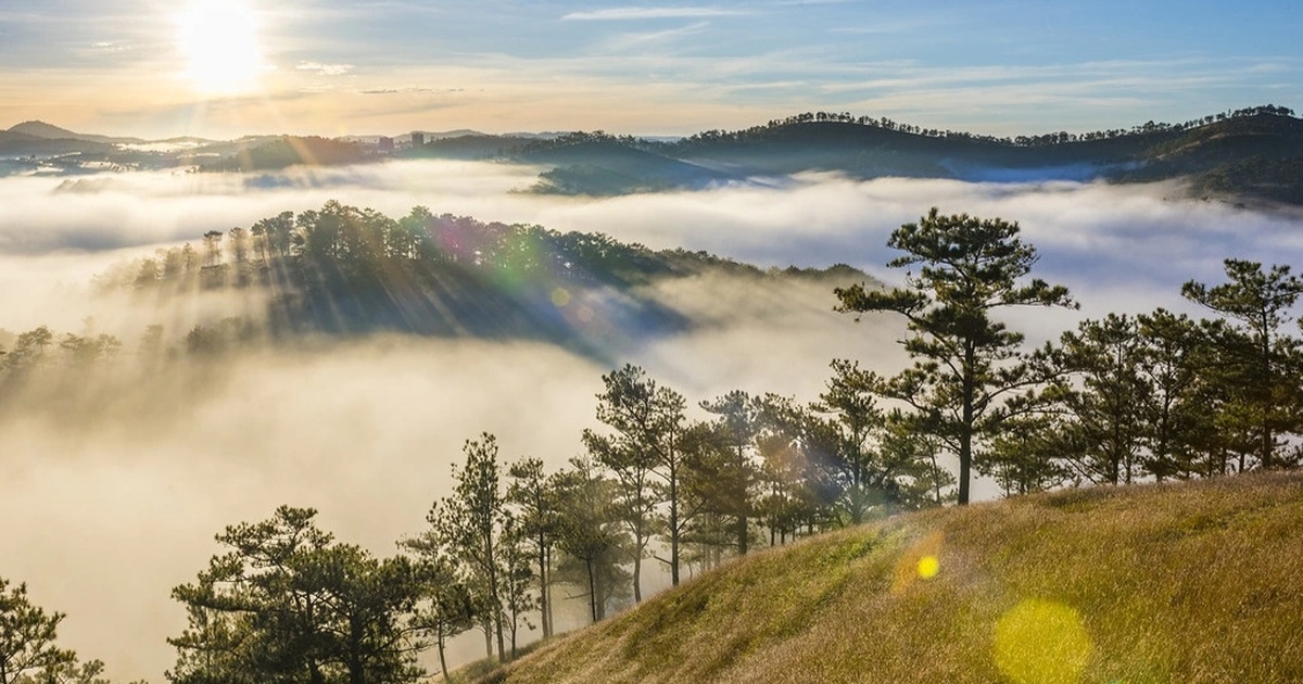 Dự án nghỉ dưỡng cao cấp lấy hơn 40ha rừng tự nhiên ở Đà Lạt