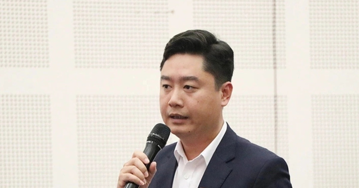 Đại biểu nói cổng dịch vụ công nghẽn, nhà cung cấp dịch vụ “nợ” câu trả lời