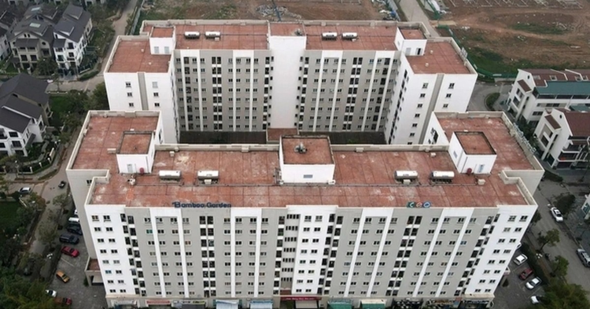 Đại biểu TPHCM: Nhập từ khóa “nhà ở xã hội” chỉ thấy thông tin từ cò đất