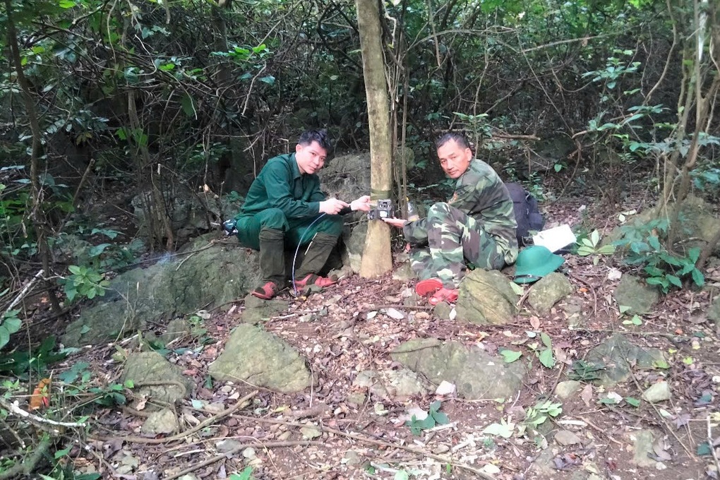 Phát hiện thêm quần thể voọc mông trắng quý hiếm tại Ninh Bình - 3