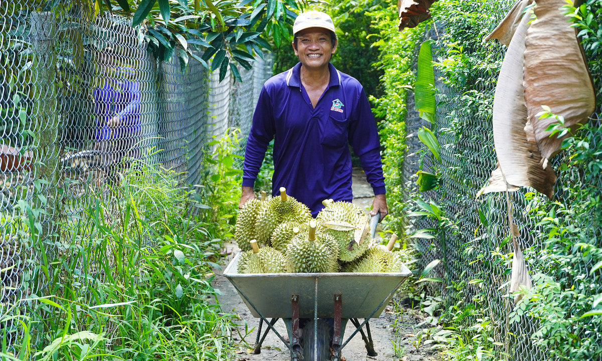 Cà phê, sầu riêng bứt phá đưa nông sản lập kỷ lục mới