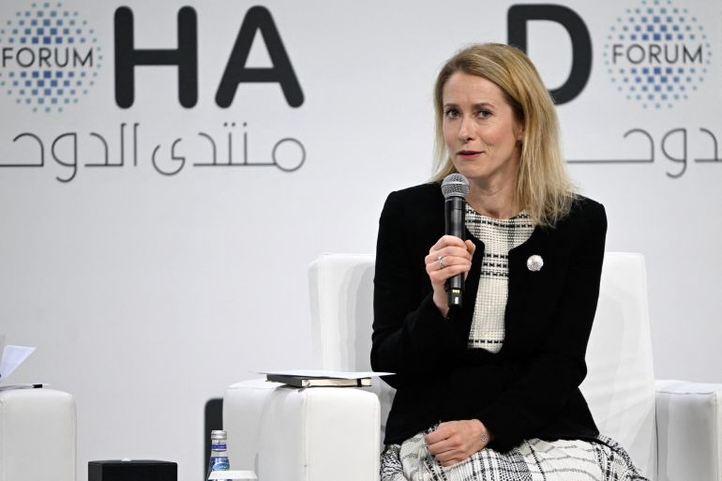 EU lên tiếng sau khi đối mặt chỉ trích từ Mỹ trong chiến lược an ninh mới - 1