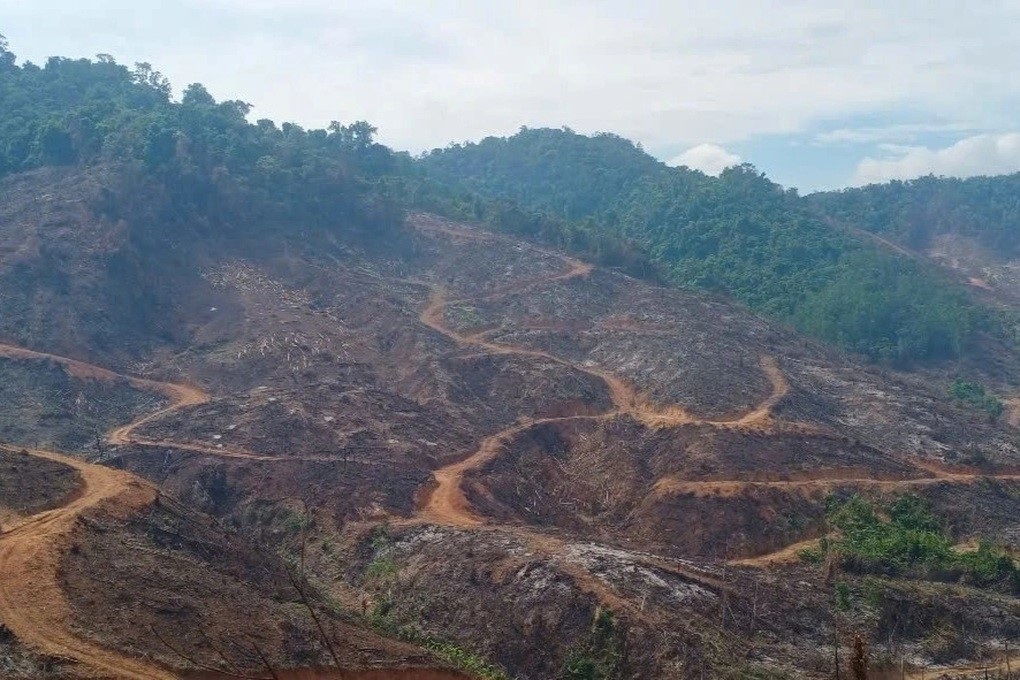 Đề nghị kỷ luật 2 kiểm lâm để gần 98ha rừng bị xâm hại - 1