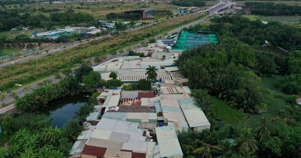 Bí thư Trần Lưu Quang: Xã, phường ở TPHCM sẽ lập ban giải phóng mặt bằng