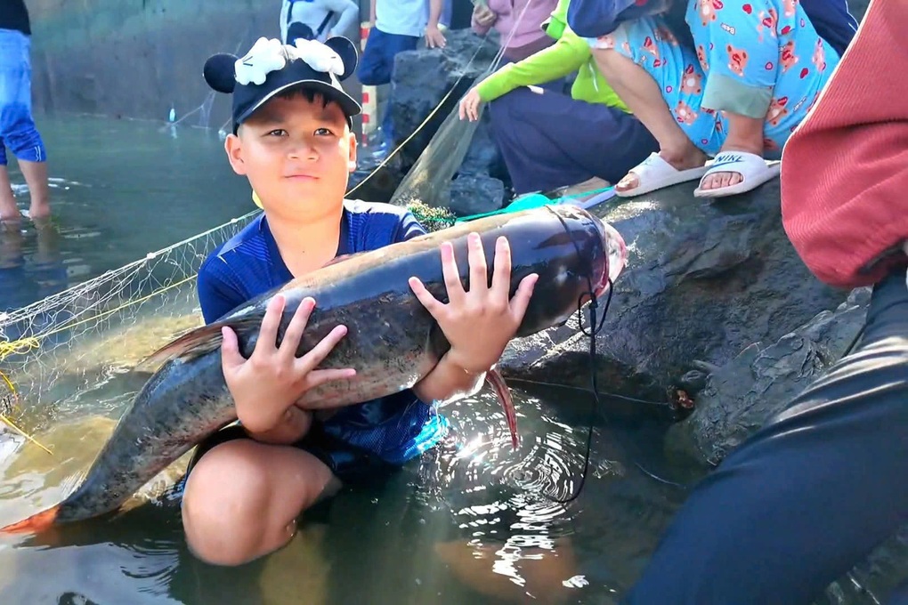 Hàng trăm người săn “lộc trời” ở hồ Trị An - 1 Hàng trăm người săn “lộc trời” ở hồ Trị An - 1