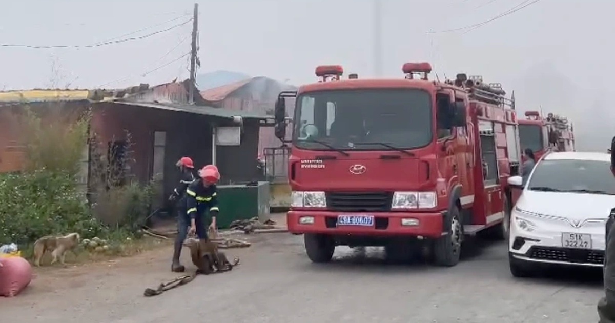 Cháy kho chứa hàng của công ty sản xuất cà phê ở Đà Lạt