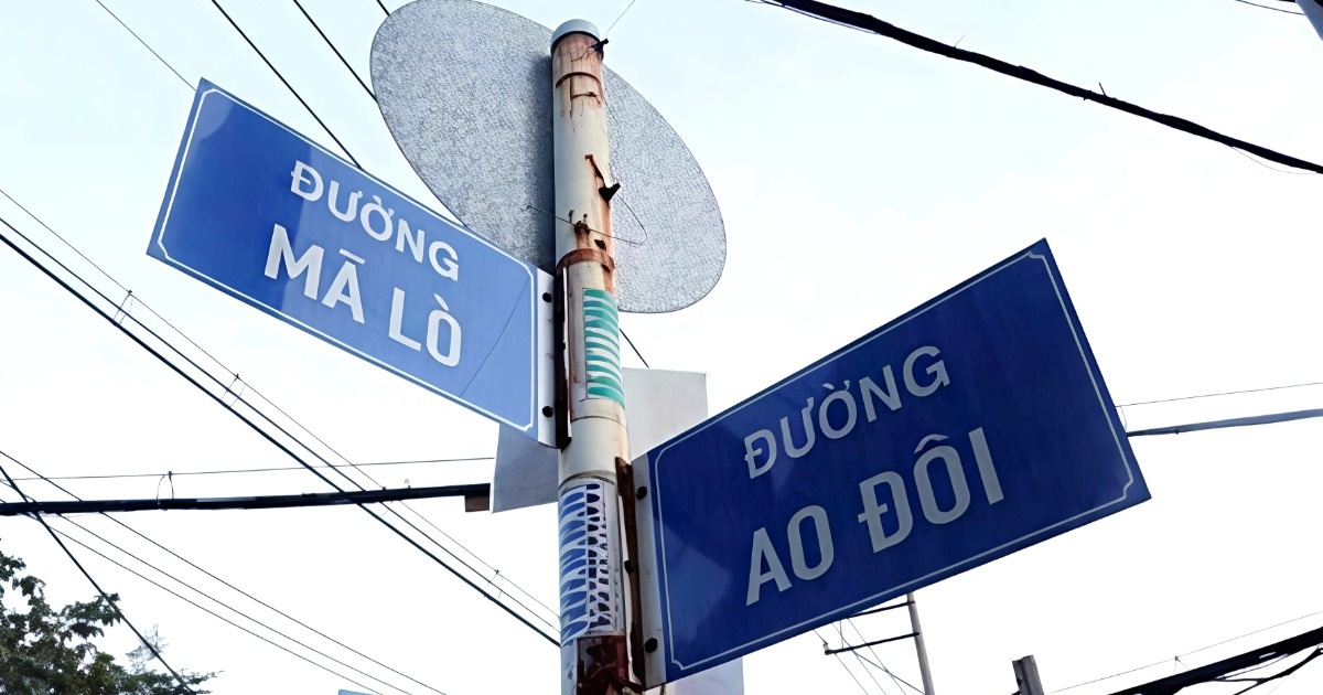 TPHCM phản hồi về đề xuất đổi tên đường Mã Lò, Chiến Lược