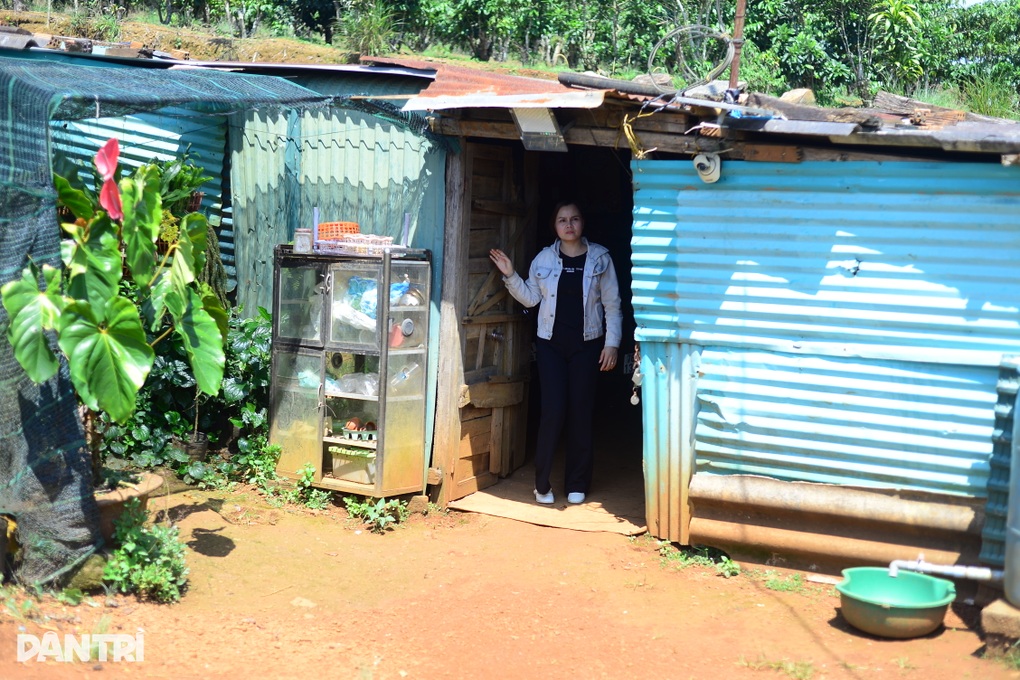 Lâm Đồng đề nghị rút 55.000ha khỏi quy hoạch khoáng sản do chồng lấn - 1