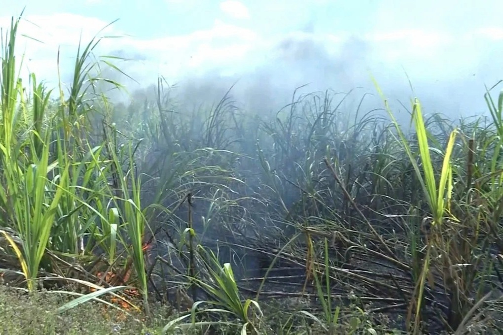 Cháy lớn ngày cuối năm “nuốt chửng” 160ha mía - 1