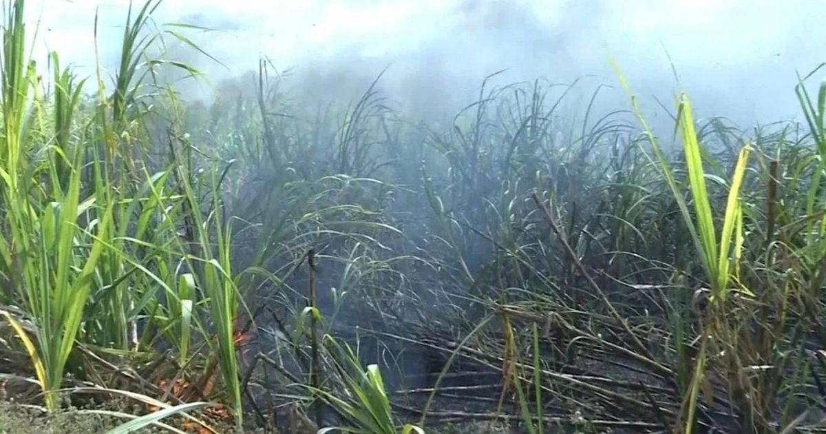 Cháy lớn ngày cuối năm “nuốt chửng” 160ha mía