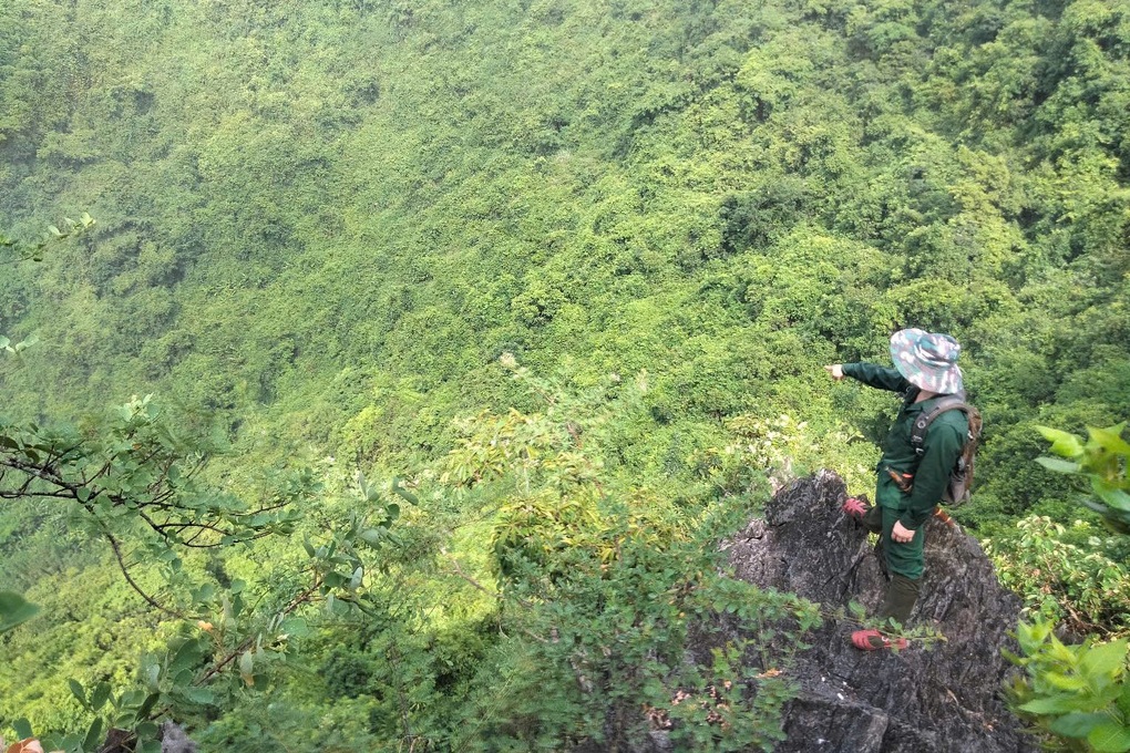 Phát hiện thêm quần thể voọc mông trắng quý hiếm tại Ninh Bình - 1