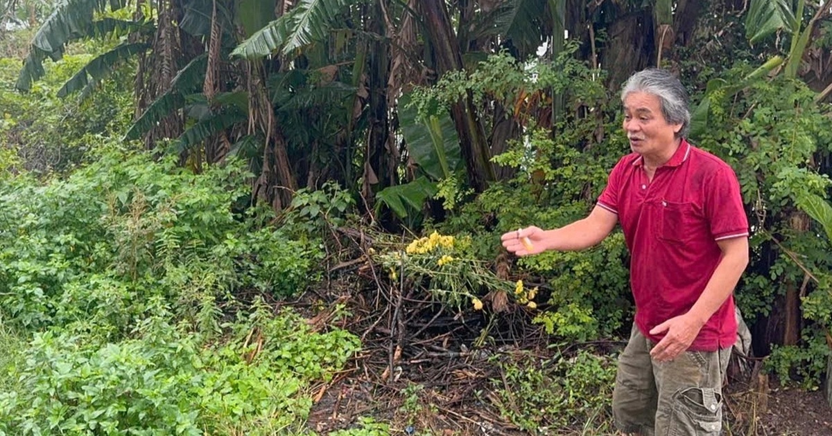 Vụ trúng đấu giá lô đất “ảo”: Người mua đất không muốn cán bộ bị kỷ luật