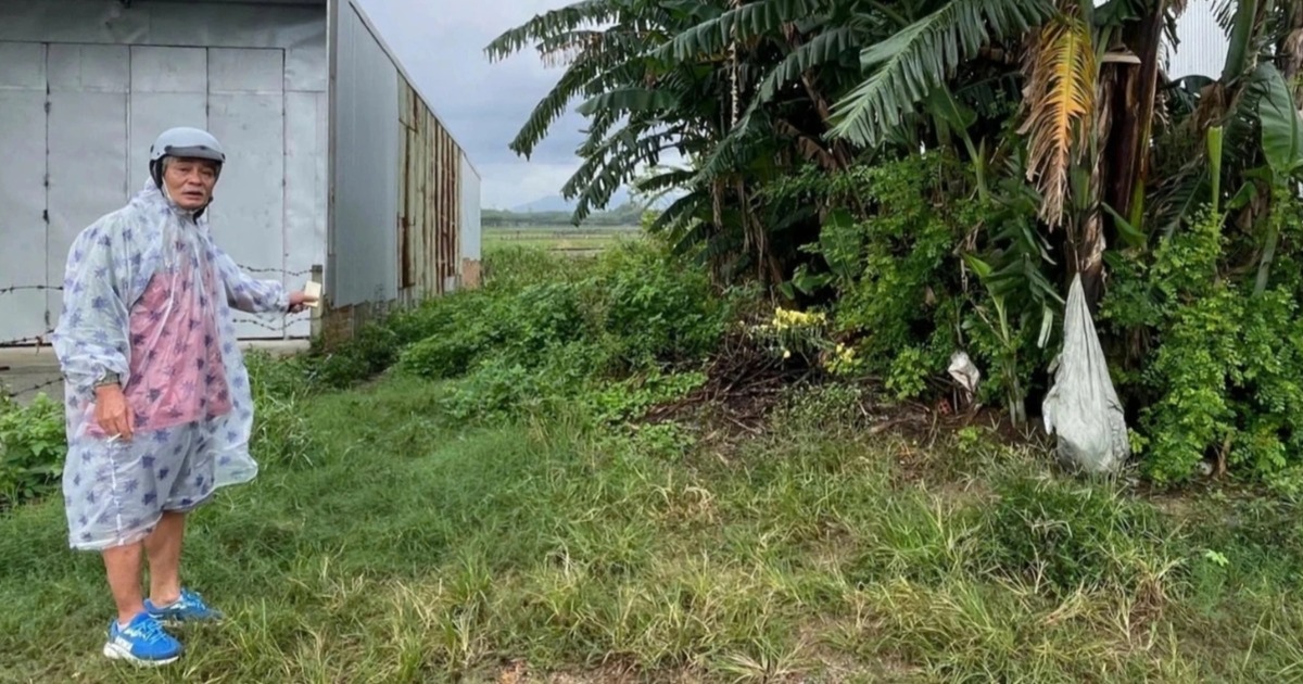 Công an vào cuộc vụ trúng đấu giá lô đất “ảo” ở Quảng Ngãi