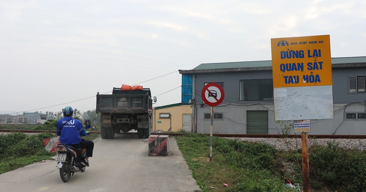 Sau sự cố tàu hàng phải dừng khẩn cấp, ô tô vẫn ung dung đi qua đường cấm