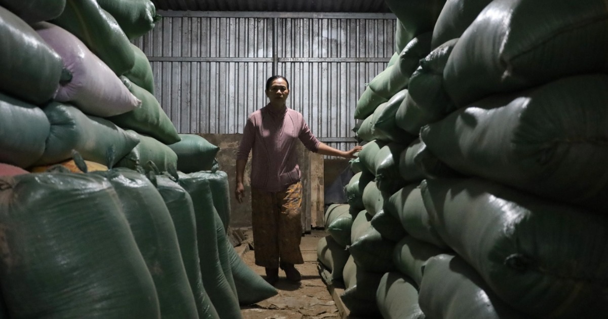 Người phụ nữ phải vứt bỏ hơn 25 tấn lúa gạo “vì ông trời”