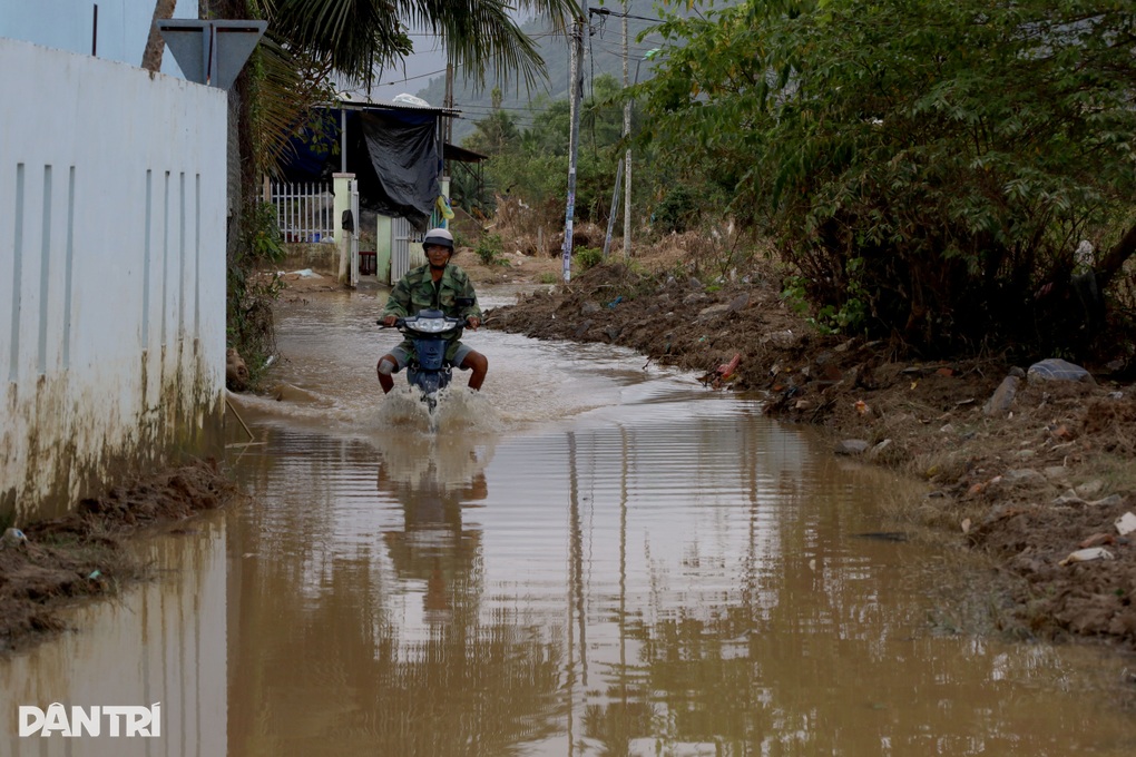 Người phụ nữ phải vứt bỏ hơn 25 tấn lúa gạo vì ông trời - 3
