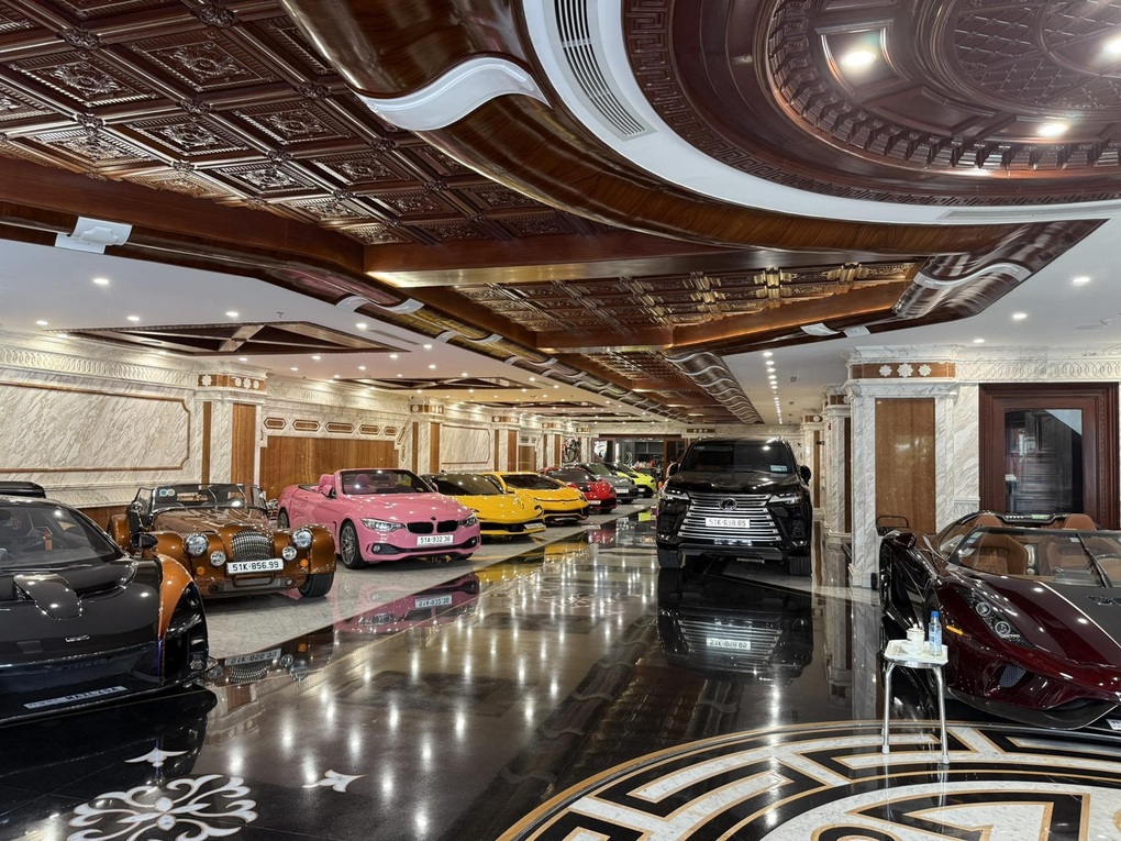 Vụ Mailisa cho thấy tính chất phức tạp của tội phạm kinh tế khu vực tư - 4