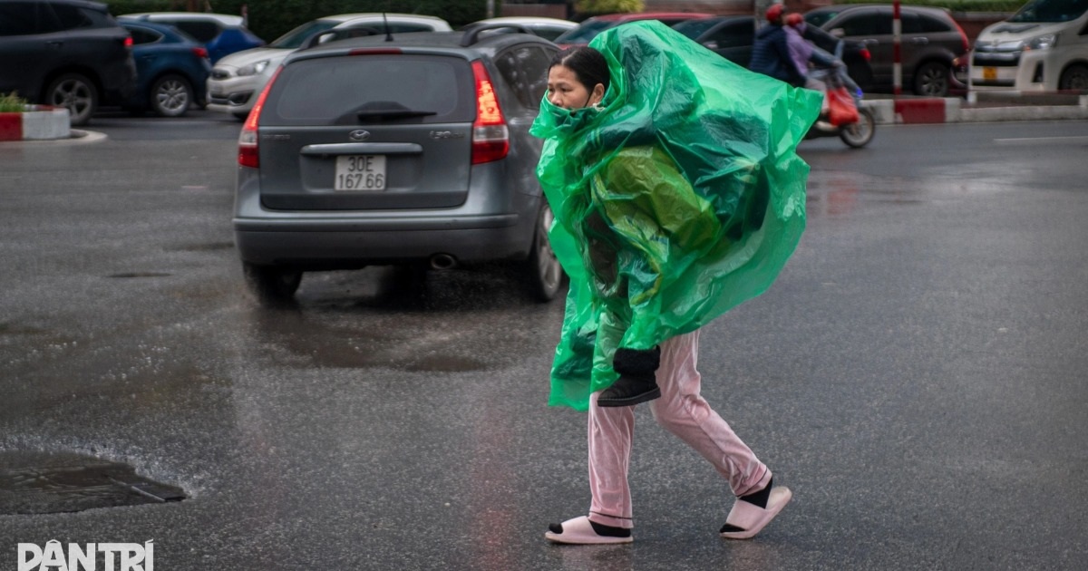 Miền Bắc rét đậm, có nơi rét hại