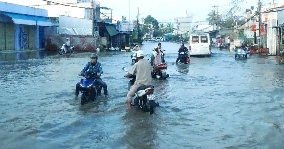 Vì sao Cà Mau có tình trạng ngập nước kéo dài?