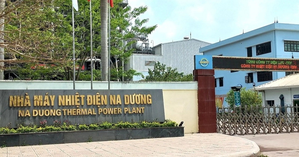 Thanh tra Chính phủ chỉ rõ vi phạm tại dự án nhiệt điện Na Dương II