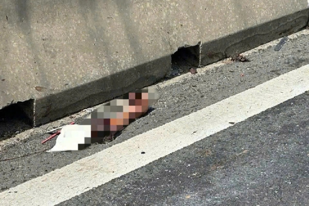 Phát hiện cánh tay người trên cao tốc Vĩnh Hảo - Phan Thiết - 2