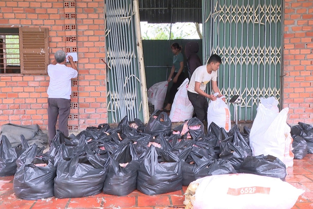 Phát hiện 2 tấn vịt chết bốc mùi tại nhà dân ở TPHCM - 1 Phát hiện 2 tấn vịt chết bốc mùi tại nhà dân ở TPHCM - 1