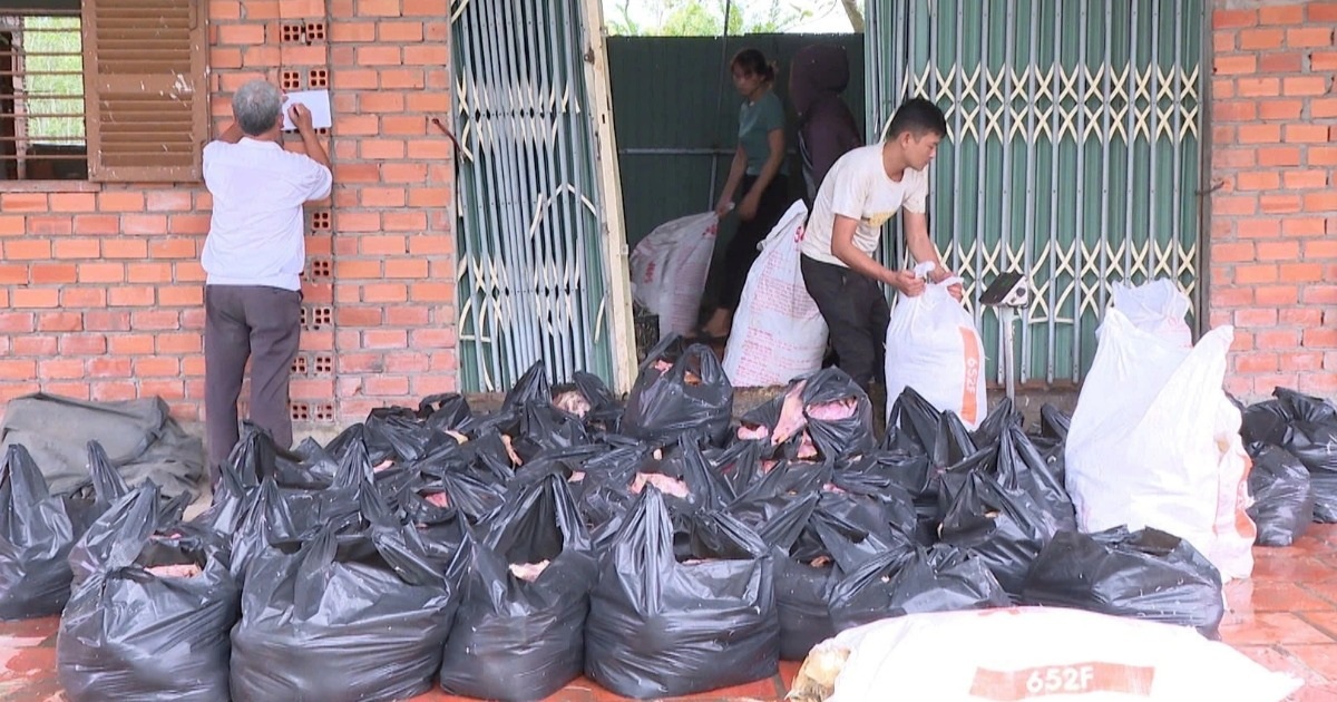 Phát hiện 2 tấn vịt chết bốc mùi tại nhà dân ở TPHCM