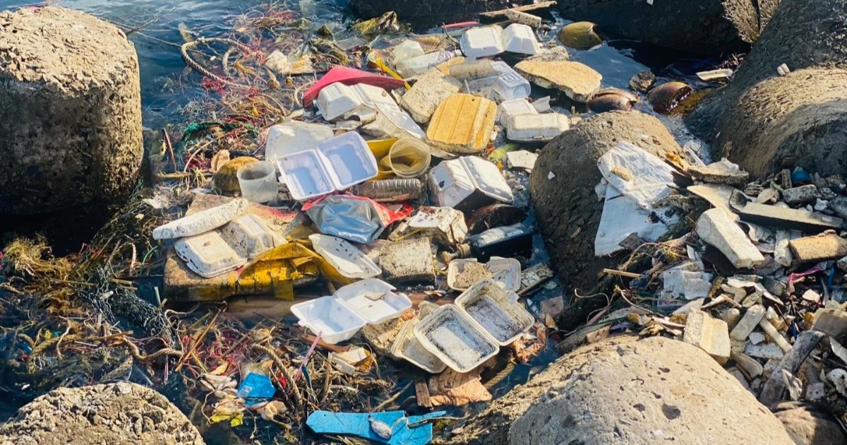 Phú Quốc báo động ô nhiễm môi trường trước thềm APEC 2027