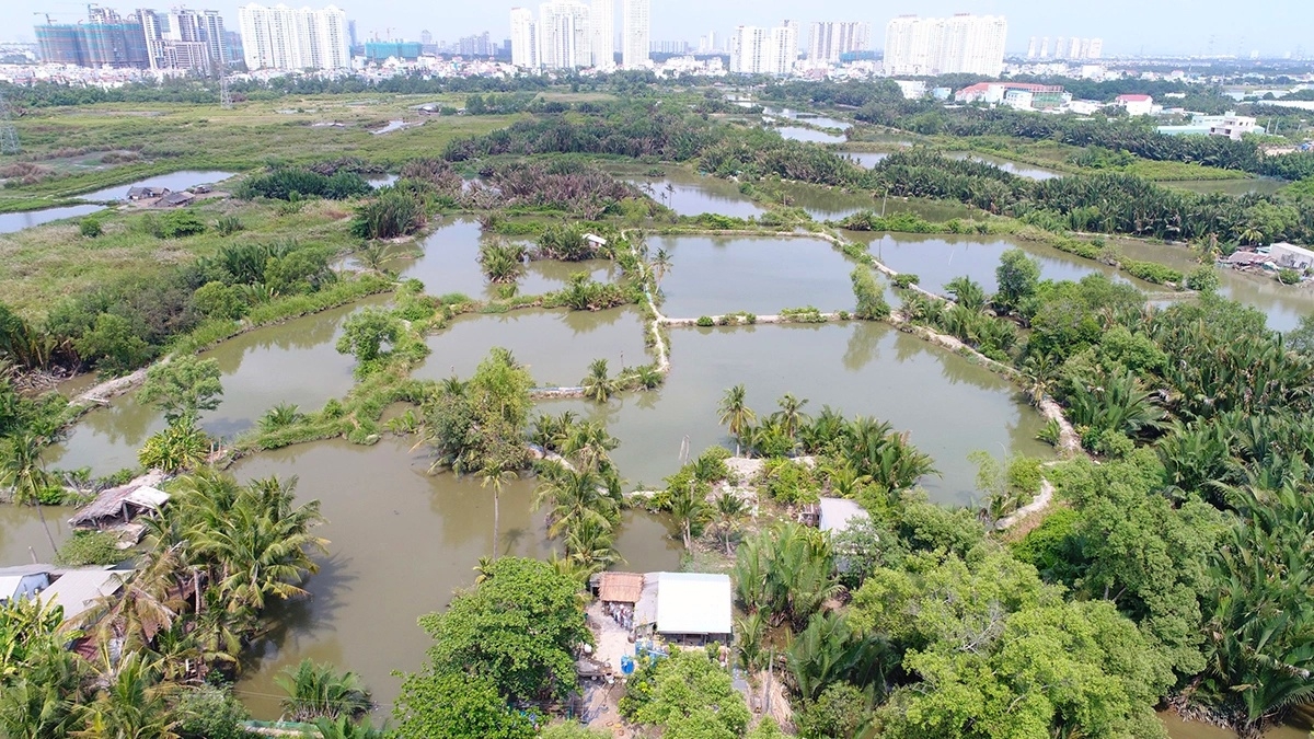 Quốc Cường Gia Lai muốn bán công ty con để trả nợ liên quan bà Trương Mỹ Lan