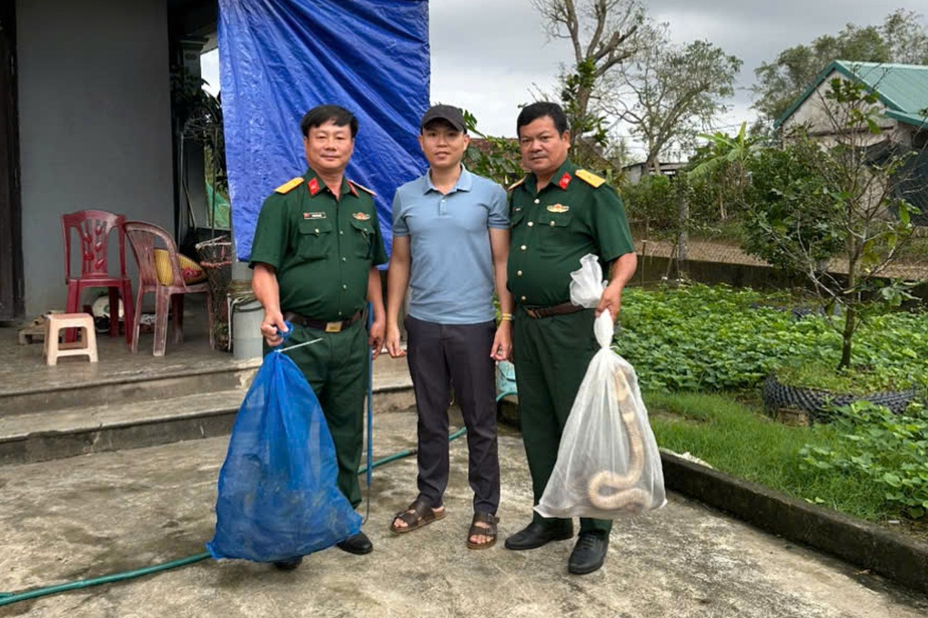 Chuyển giao 676 cá thể rắn hổ mang trong một vụ vận chuyển trái phép - 1