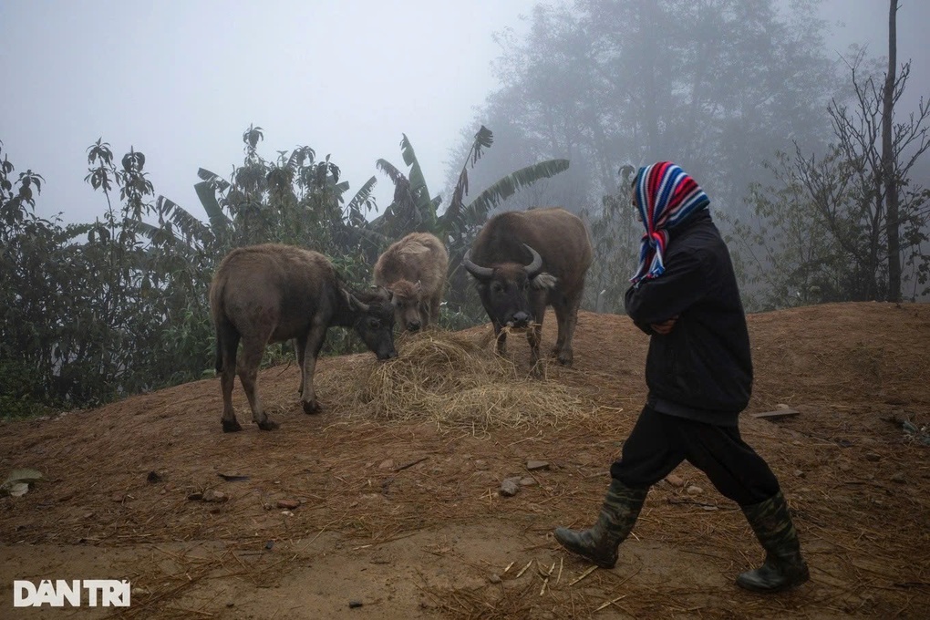 Nhiều nơi ở miền Bắc rét đậm rét hại - 1 Nhiều nơi ở miền Bắc rét đậm rét hại - 1
