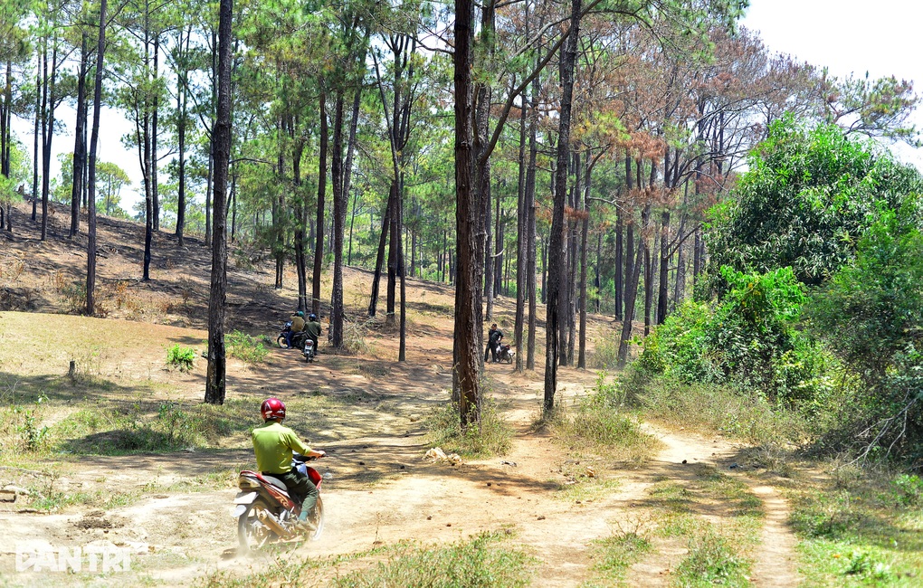 Lâm Đồng thu hồi toàn bộ 1.428ha đất của siêu dự án Sài Gòn Đại Ninh - 3 Lâm Đồng thu hồi toàn bộ 1.428ha đất của siêu dự án Sài Gòn Đại Ninh - 3