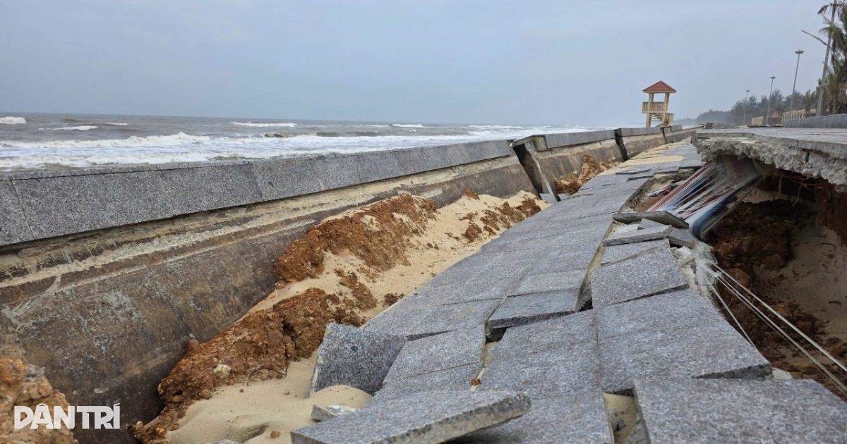 Sóng “nuốt chửng” bờ biển, bãi tắm bị phá nát, rừng dương bật gốc