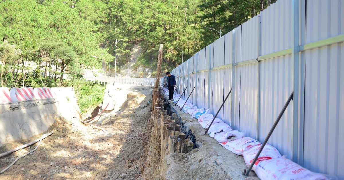 Tạm đóng đèo Prenn ở Đà Lạt trong 6 giờ để chặt hạ cây rừng