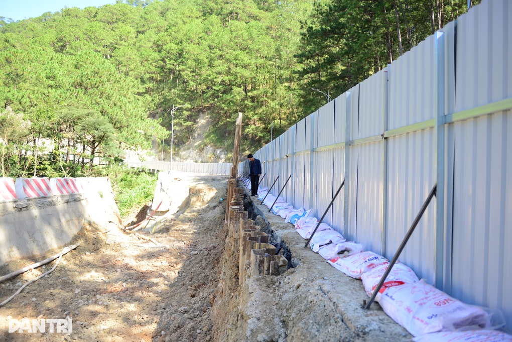 Tạm đóng đèo Prenn ở Đà Lạt trong 6 giờ để chặt hạ cây rừng - 1