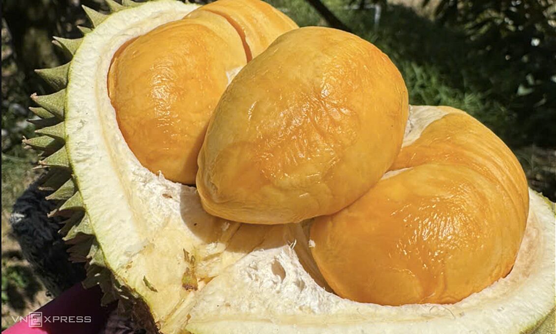 Malaysia chi tiền gấp 5 lần mua sầu riêng Việt Nam